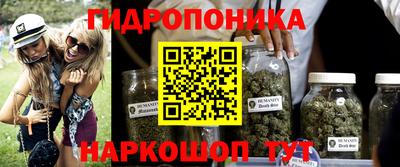 a pvp Краснокаменск