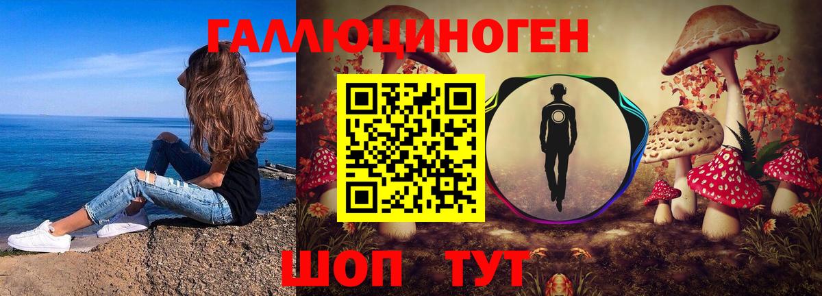 Псилоцибиновые грибы Psilocybine cubensis  Вход с VPN  закладки  Псилоцибиновые грибы Magic Shrooms  Красноярск 
