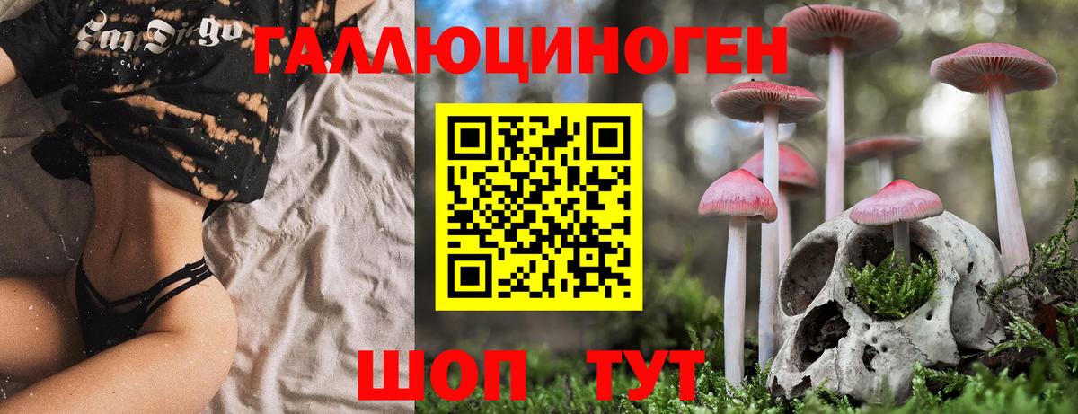 Галлюциногенные грибы ЛСД Красноярск